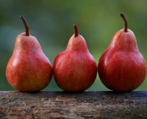 3 red pears on a log with a fuzzy green background